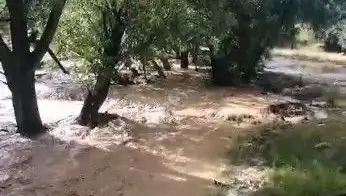 Mersin'de Yağan Sağanak, Hayatı Olumsuz Etkiledi: Sele Dönüşen Yağışlar