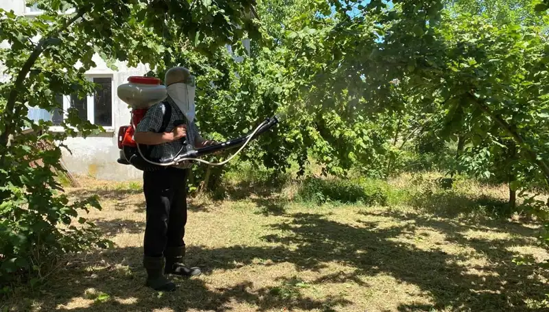 Çiftçiler, Kükürt ve Samuray Arısı ile Umut Yeniliyor!