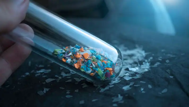 Mikroplastikler İnsan Beynine Ulaşıyor: Sağlığımıza Etkisi Nedir?