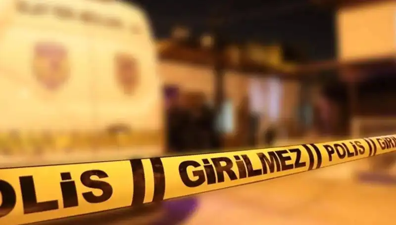 Diyarbakır'da Kayınpederin Dehşet Dakikaları: Aile İçi Şiddet Olayı