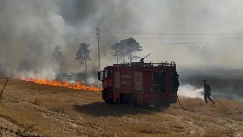 Kırklareli'nde Anız Yangını: Doğaya ve Ekonomiye Zarar Verecek Geniş Alevler