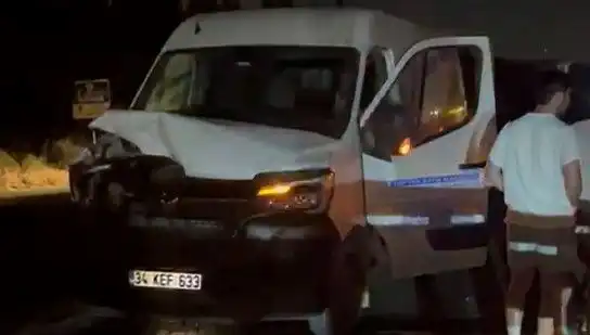 İstanbul’da Manda Kazası: Üç Yaralı ve Anbean Gelişmeler