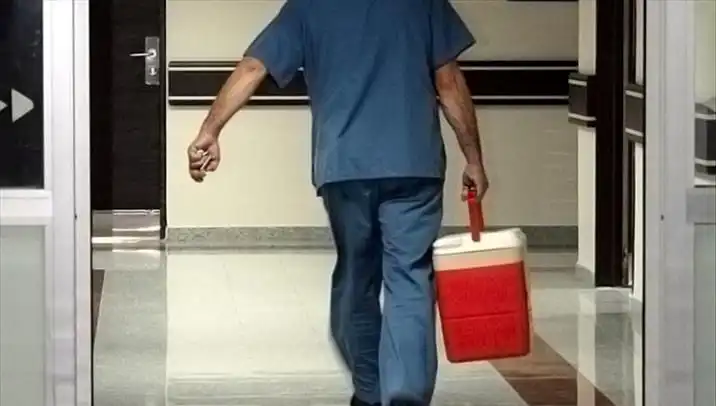 Organ Bağışında Devrim: e-Devlet ve e-Nabız ile Kolay Başvurular