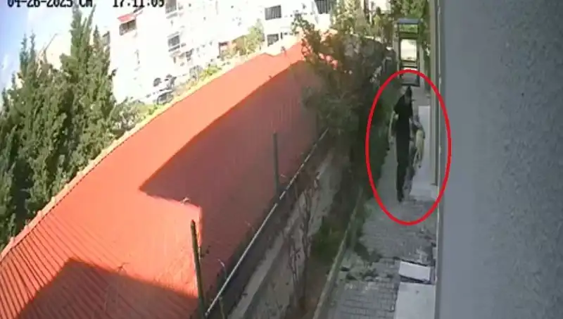 Doktorun Korkunç Sırrı: Sahiplendiği Köpekleri Evde Katletti!