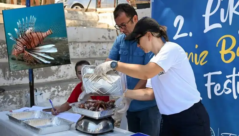 Antalya'da İstilacı Aslan Balığı Avlama Yarışması Başlıyor!