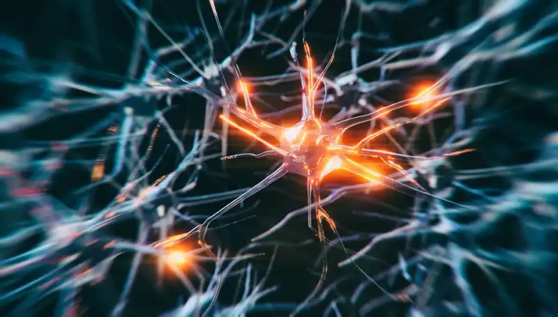 Alzheimer Vakaları Neden Artıyor? İşte Bilimsel Veriler ve Sebepler