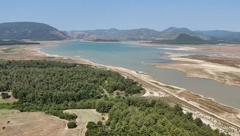 İzmir'de Sağlık Krizi: Tehlike Çanları Yüksek Sesle Çalıyor!