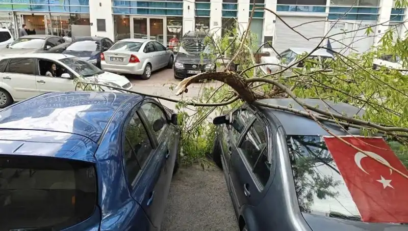 Kayseri’de Fırtına Sonrası Yıkım: Dalları Kıran Doğa Olayı