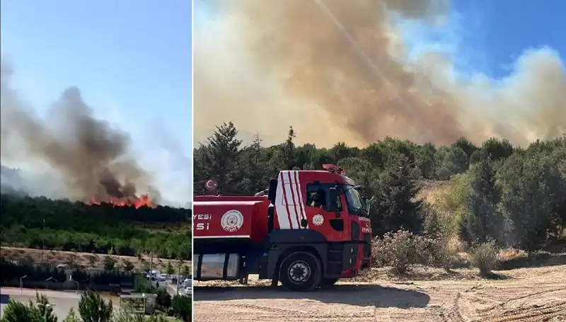 Gebze'de Orman Yangını: Doğa Ve Hayat Tehlikede!