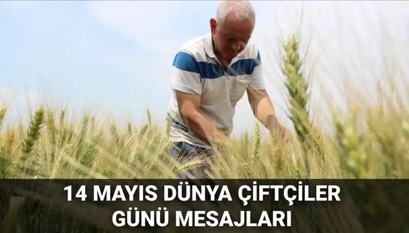 14 Mayıs Dünya Çiftçiler Günü: Emekleriyle Toprağa Can Verenler İçin Mesajlar