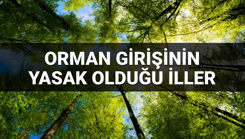 2025'te Ormana Giriş Yasaklanan İllerin Listesi ve Sebepleri