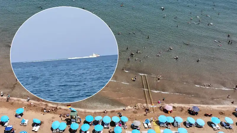 Tatile Gidenleri Korkutan Olay: Plajda Köpek Balığı İhbarı