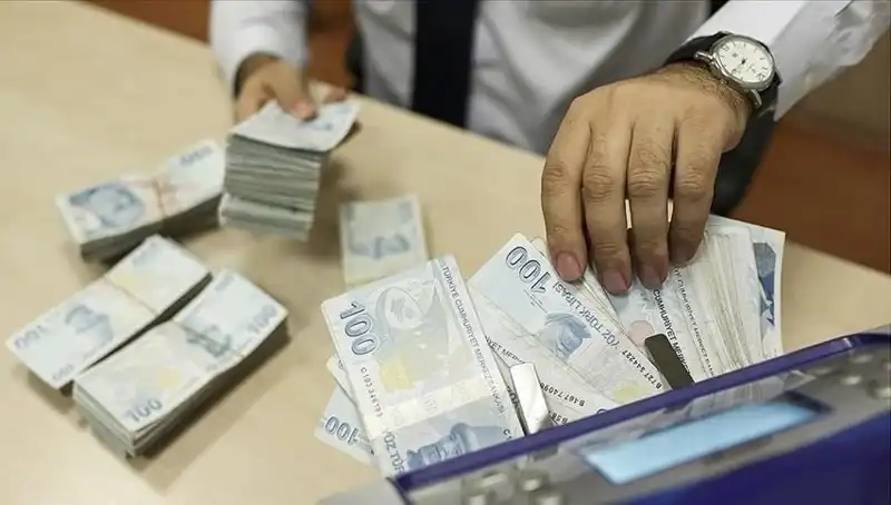 Türkiye'de Bireysel Emeklilik Sistemi'nde Katılımcı Sayısı 17,36 Milyona Ulaştı