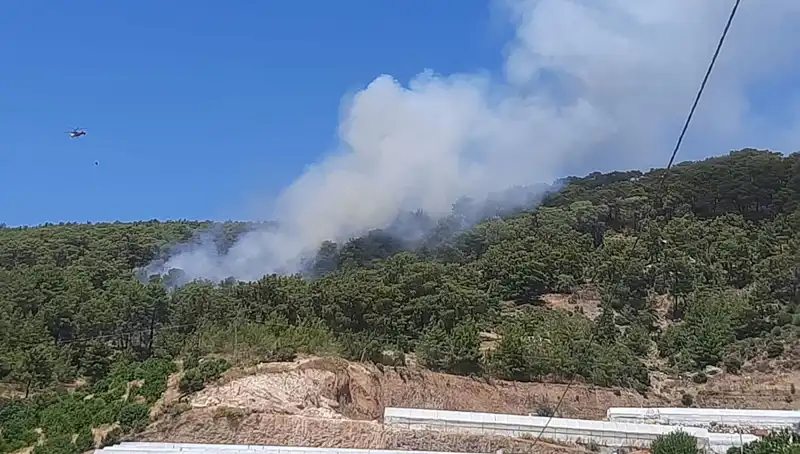 Kumluca'da Orman Yangını: Ekipler Hızla Müdahale Ediyor