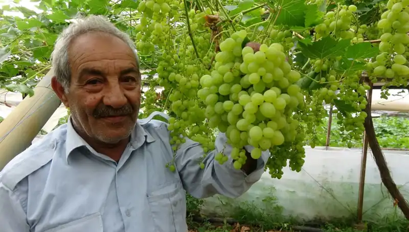 Zirai Donun Meyve Fiyatlarına Etkisi: Ürünler Çiftçiyi Zor Durumda Bıraktı