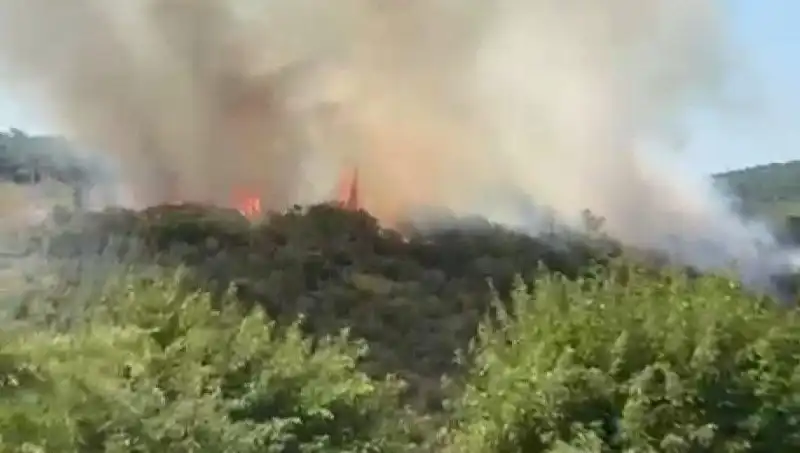 İstanbul’da Orman Yangını: Vatandaşlar Acil Olarak Tahliye Edildi
