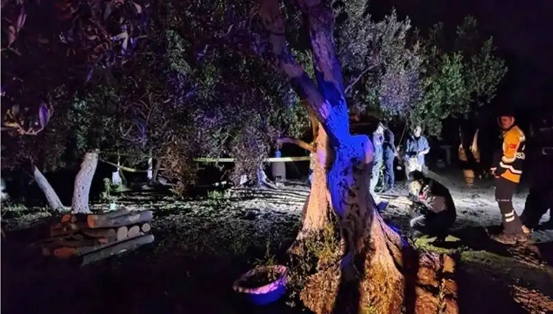 Çiftlikteki Şok Edici Baltalı Vahşet Olayında İlk Tutuklama!