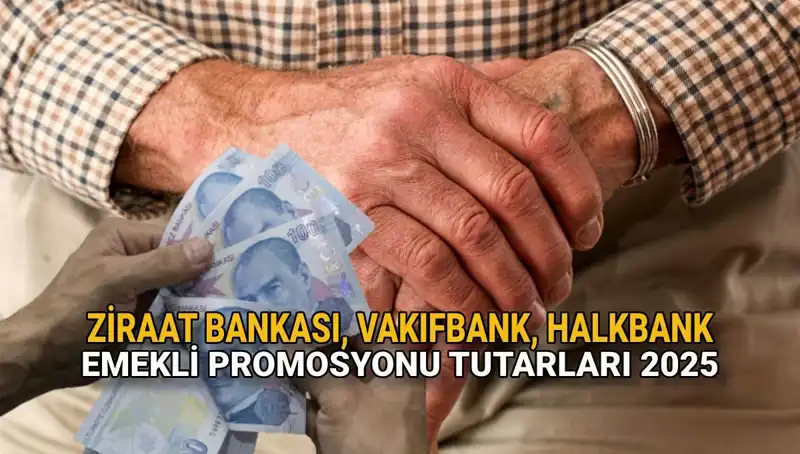 2025 Emekli Promosyonları: Kamu Bankalarında Fırsatlar ve Güncel Detaylar