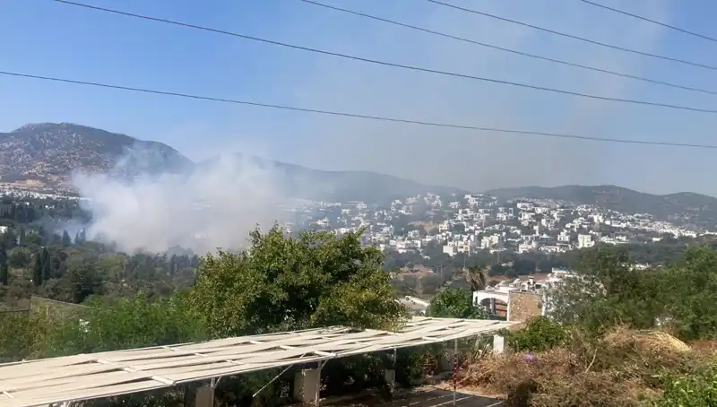 Muğla Orman Yangınlarında Son Durum: Kontrol Altına Alındı!