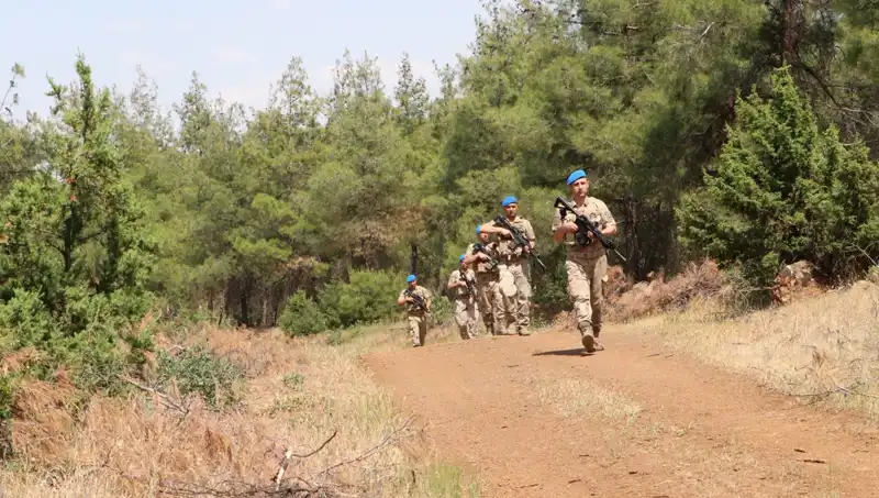 Kilis'te Orman Yangını Denetimi: Öncelikler, Tehditler ve Gelecek Stratejileri