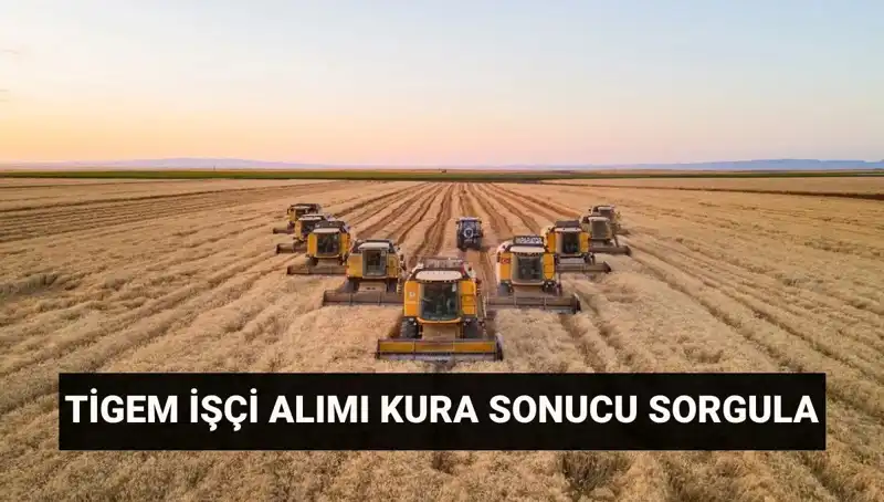 TİGEM 306 İşçi Alımı Kura Sonuçları Açıklandı: Sonuçları Nasıl Sorgulayabilirsiniz?