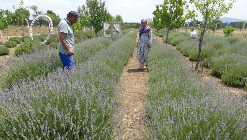 Hobi Olarak Başladı, Şimdi İki Aile Geçimlerini Onlarla Sağlıyor