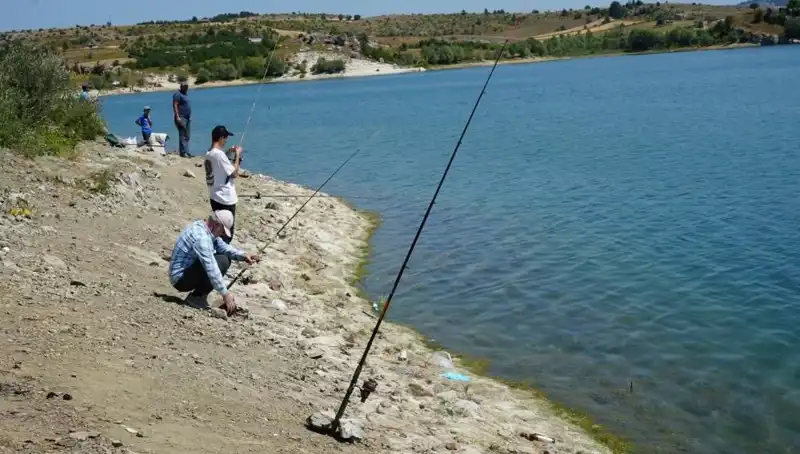 Kafeslerden Kaçan Balıklar, Barajda Hayvan Severleri Buluşturdu