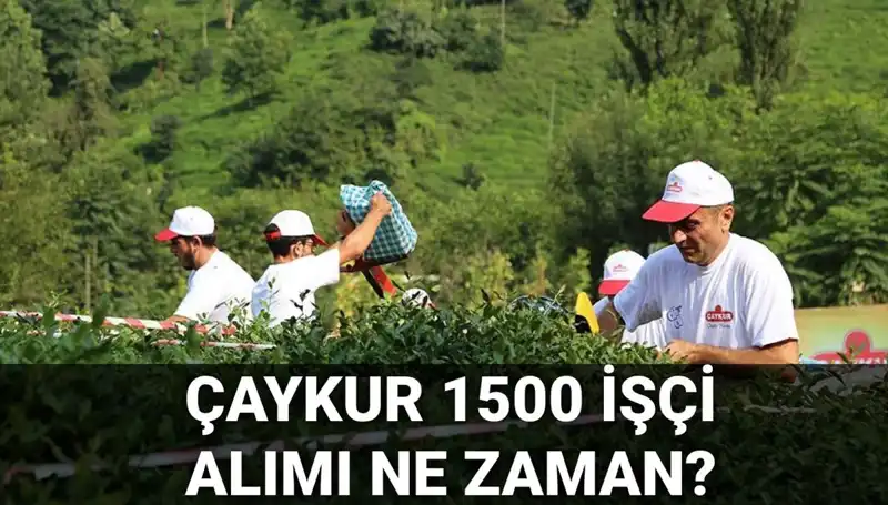 Çaykur İşçi Alımı Başvuruları Başlıyor: Tarih ve Detaylar Açıklandı