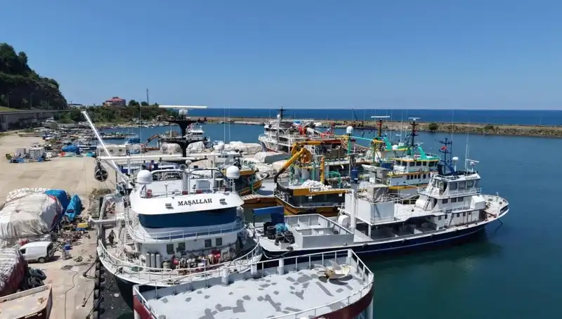 Karadeniz’de Eylül Ayının Gelişi: Dönüşüm ve Fırsatlar
