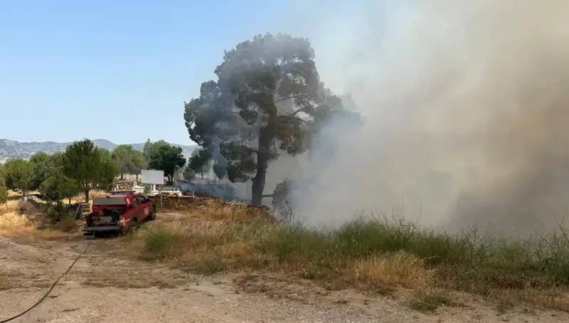 Muğla'da Orman Yangını: Doğa ve Yaşam Tehlikede