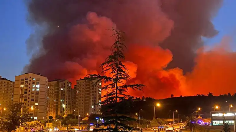 Bursa'da Yangın Alarmı: Şehri Tehdit Eden Alevler Hızla Yayılıyor!