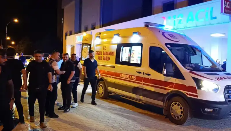 Kardeşi Kavgayı Ayırmaya Çalıştı, Ölümle Sonuçlanan Olayın Sebebi Oldu