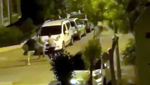 Avcılar'da 3 Kişinin Saldırdığı Adamı Kalabalık Kurtardı: Olayın Detayları