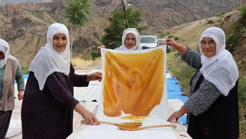 Yaz Aylarının Vazgeçilmezi: Güneşle Kurutulmuş Sağlıklı Unlu Besinler