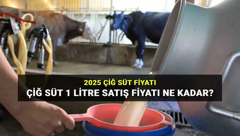 2025'te Çiğ Süt Fiyatları: Ulusal Süt Konseyi'nden Çarpıcı Açıklama